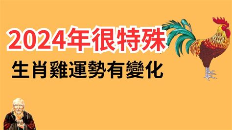 屬雞顏色|雞年開運色：2024年必備指南